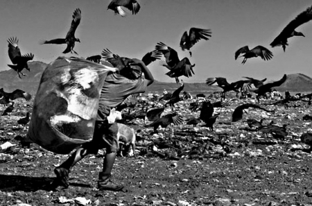 Aves de rápiña son los acompañantes de los niños en el basurero